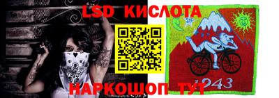 винт Партизанск