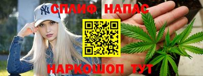 винт Партизанск